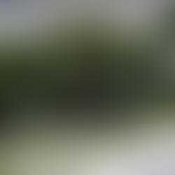 0.58 Acres for Sale in Blackshear, Georgia: Your Perfect Property Awaits!