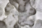 High quality eps