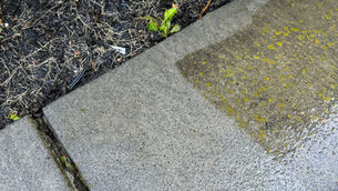 Power Washing the walkway... is there anything more satisfying?