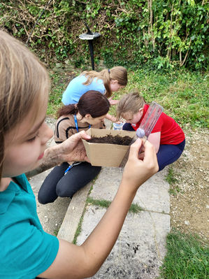Hazel class planting...