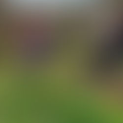 Friends Egg Hunt and Cake Sale