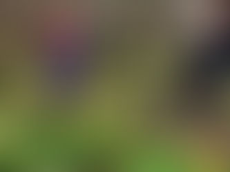 Friends Egg Hunt and Cake Sale