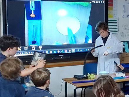 Exciting sound investigations in Oak