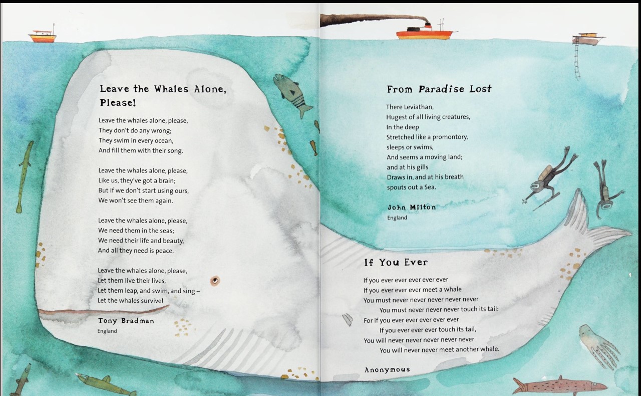 Wimbeldon Poem All the wild wonders