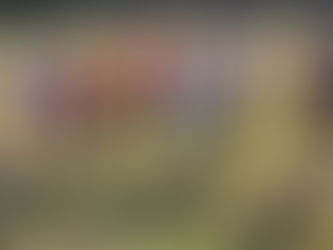 Year 5 and 6 PGL trip 2025