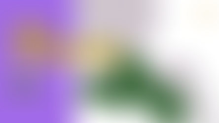 Acadiana Is Not a City: What Is It, Really?