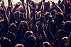 Concert crowd