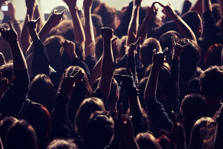 Crowd at Concert