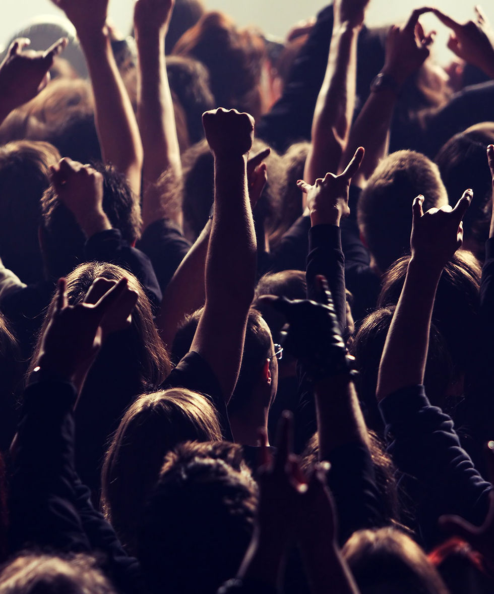 Crowd at a event