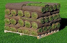 Sod Rolls