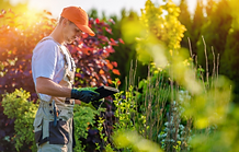 All Ontario Hydroseeding Consulations