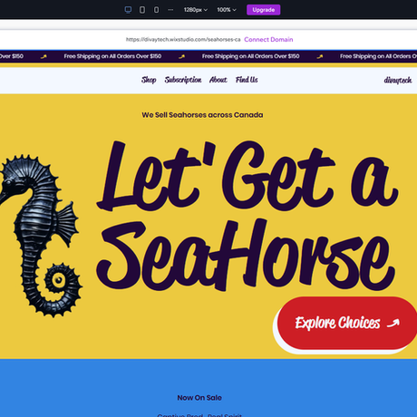 Seahorses.ca