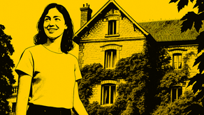 Laurent Voulzy, le chanteur qui bâtit ses chansons comme des maisons