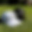 Thumbnail: Mens 4 Golf Hat