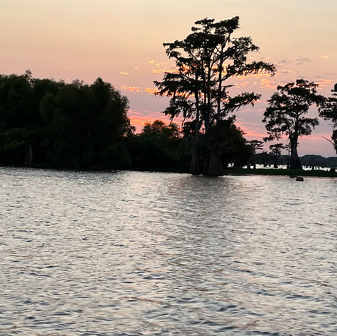 Alligator Hunt Sunset from Bayou Boys Adventures in Southeast Louisiana