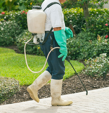 Pest Control