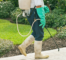 Clean Dean's staff while doing the residential pest and rodent control cleaning service
