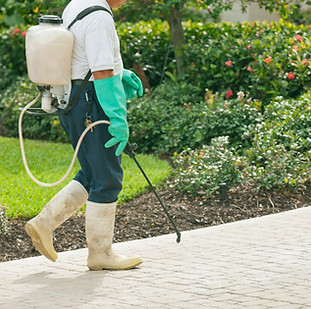 Pest Control