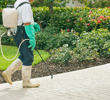 Pest Control