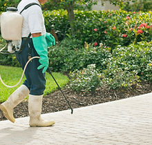 Pest Control