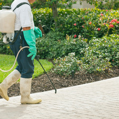Pest Control