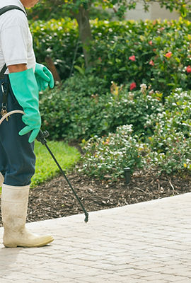 Garden maintenance