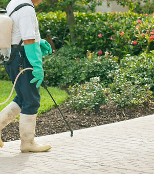 Pest Control