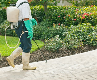 Pest Control