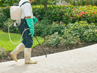 Handling the Inevitable Pests