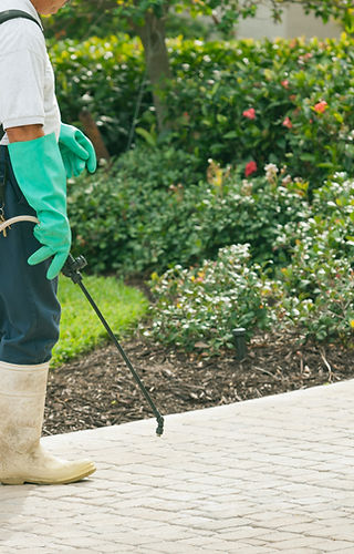 Pest Control