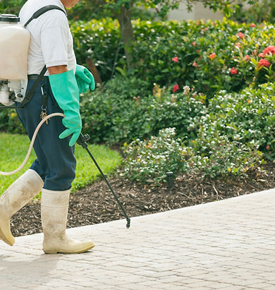 Pest Control