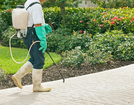 A Pest Control Specialist Spraying Organic Pesticides