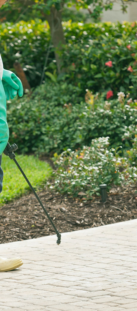 Pest Control