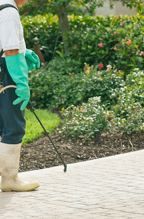 Pest Control