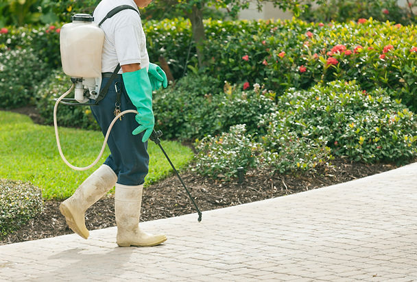 Professional pest control services addressing common pests like ants, spiders, rodents, and more in Omaha and surrounding areas, including Papillion, Bellevue, La Vista, Gretna, Ralston, Millard, and Elkhorn.