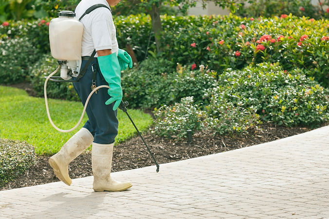 Pest Control