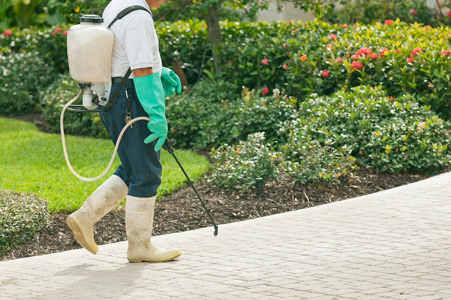 Pest Control