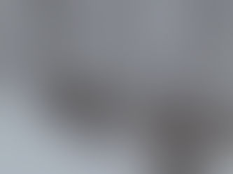 Snowfall - A Wintering Soul-Scape