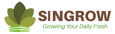 logo-FINAL (2)的副本.png