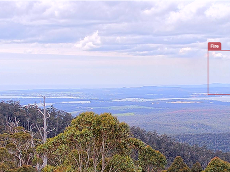 Building the Tasmanian Integrated Fire Camera Network: Collaboration, Technology, and Global Ambition