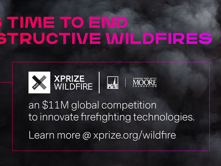 Team Fire Foresight selected as one of 29 global teams to advance in the XPRIZE Wildfire competition