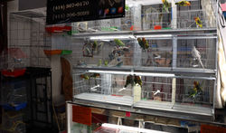 Expo Aisle B (7)
