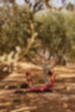 Two people practicing Urdhva Dhanurasana beneath olive trees on Aegina Island during the Evexia yoga retreat in Greece.
