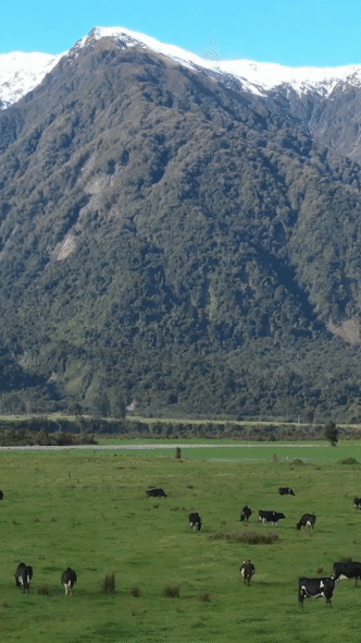 Free-Range-Your-Thoughts-9x16