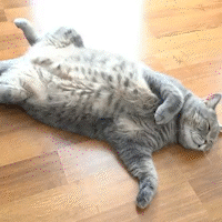 116033820_620855645215830_3110496053908192082_n_AdobeExpress