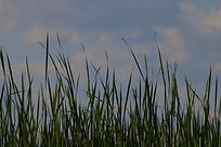 bandeau modifié.jpg