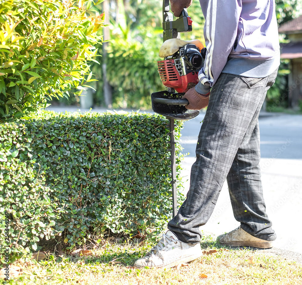 LANDSCAPING