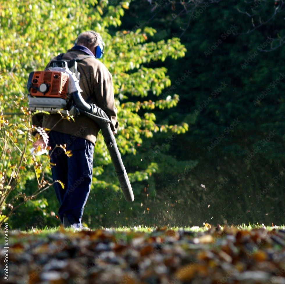 FALL CLEAN-UP