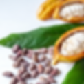 Copy of nsidering (1).png