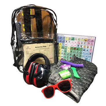 Sensory Kit Contents_edited_edited.jpg